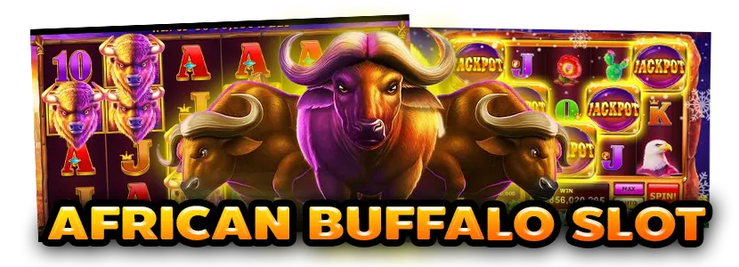 buffalo slot